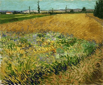 Picture of WHEATFIELD