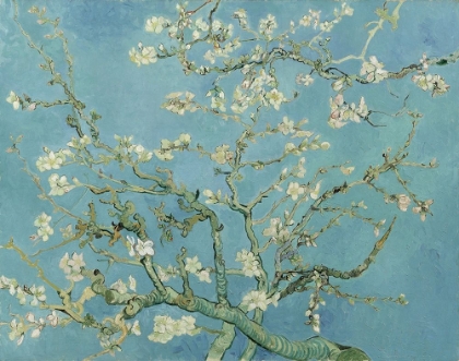 Picture of ALMOND BLOSSOM