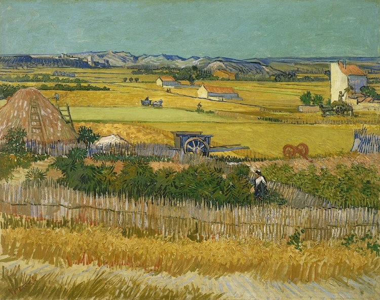Picture of THE HARVEST