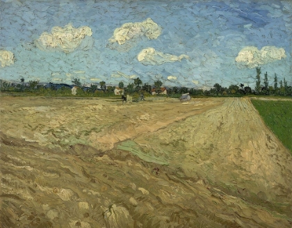 Picture of PLOUGHED FIELDS