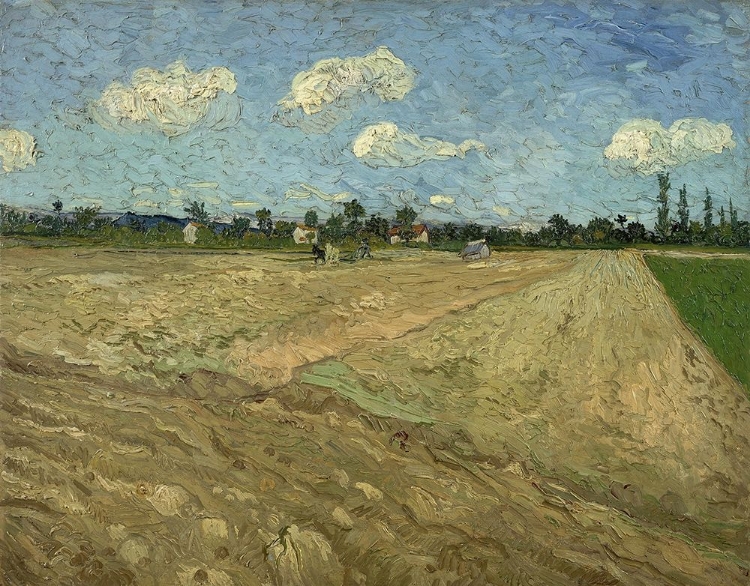 Picture of PLOUGHED FIELDS