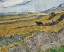 Picture of ENCLOSED FIELD WITH PLOUGHMAN