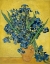 Picture of IRISES