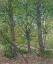 Picture of TREES