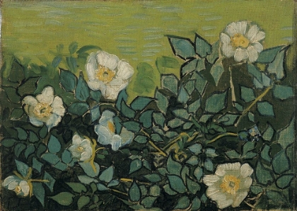 Picture of WILD ROSES