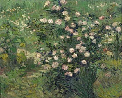 Picture of ROSES