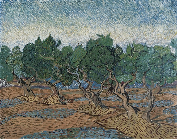 Picture of OLIVE GROVE