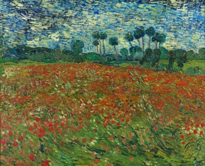Picture of FIELD WITH POPPIES