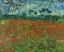 Picture of FIELD WITH POPPIES