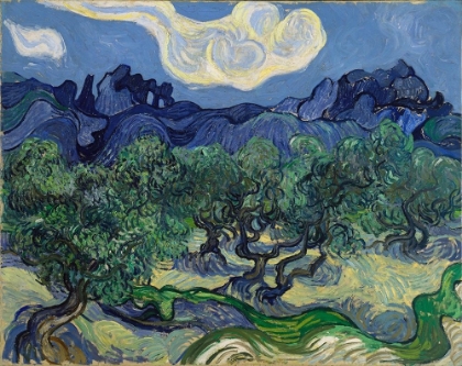 Picture of THE OLIVE TREES