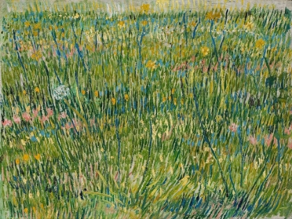 Picture of PATCH OF GRASS