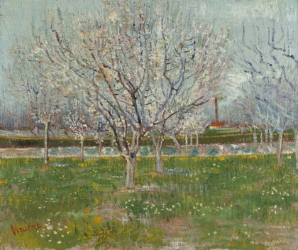 Picture of ORCHARD IN BLOSSOM