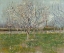 Picture of ORCHARD IN BLOSSOM