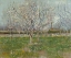 Picture of ORCHARD IN BLOSSOM