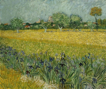 Picture of FIELD WITH FLOWERS NEAR ARLES