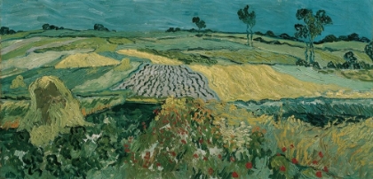 Picture of THE PLAIN OF AUVERS