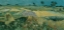 Picture of THE PLAIN OF AUVERS