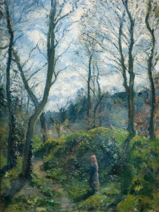 Picture of WOODLAND SCENE. SPRING