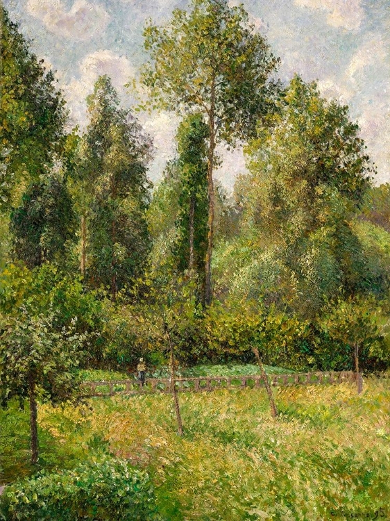 Picture of POPLARS, ERAGNY