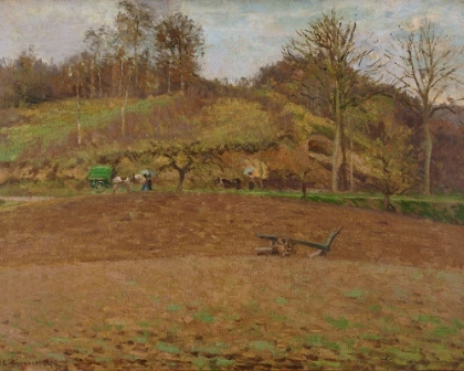 Picture of PLOUGHED LAND
