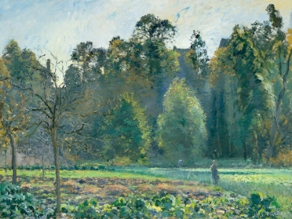 Picture of THE CABBAGE FIELD, PONTOISE
