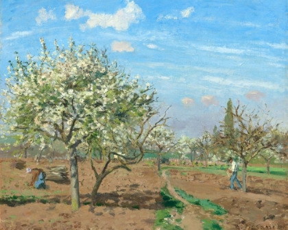 Picture of ORCHARD IN BLOOM, LOUVECIENNES