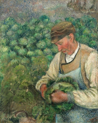 Picture of THE GARDENER - OLD PEASANT WITH CABBAGE