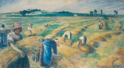 Picture of HARVEST