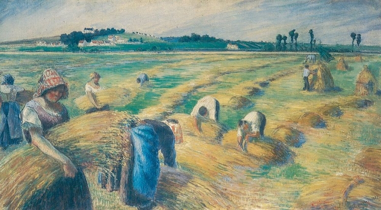 Picture of HARVEST