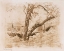 Picture of SULBY GLEN-ISLE OF MAN