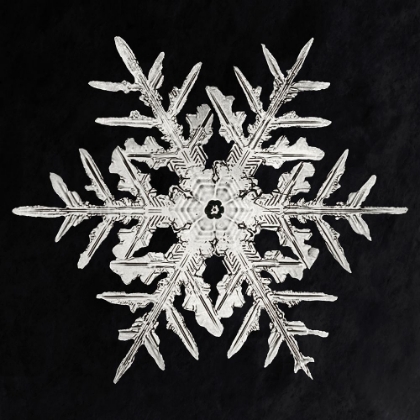 Picture of SNOWFLAKE 332