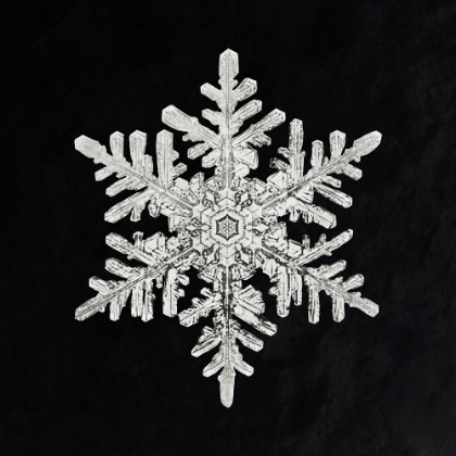Picture of SNOWFLAKE 1152