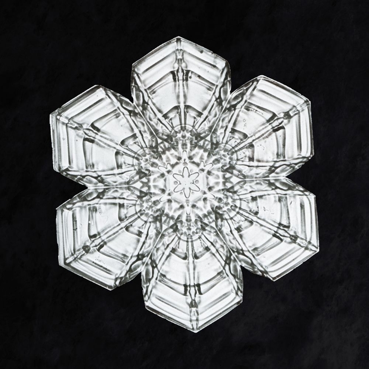 Picture of SNOWFLAKE 10A