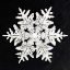 Picture of SNOWFLAKE 990