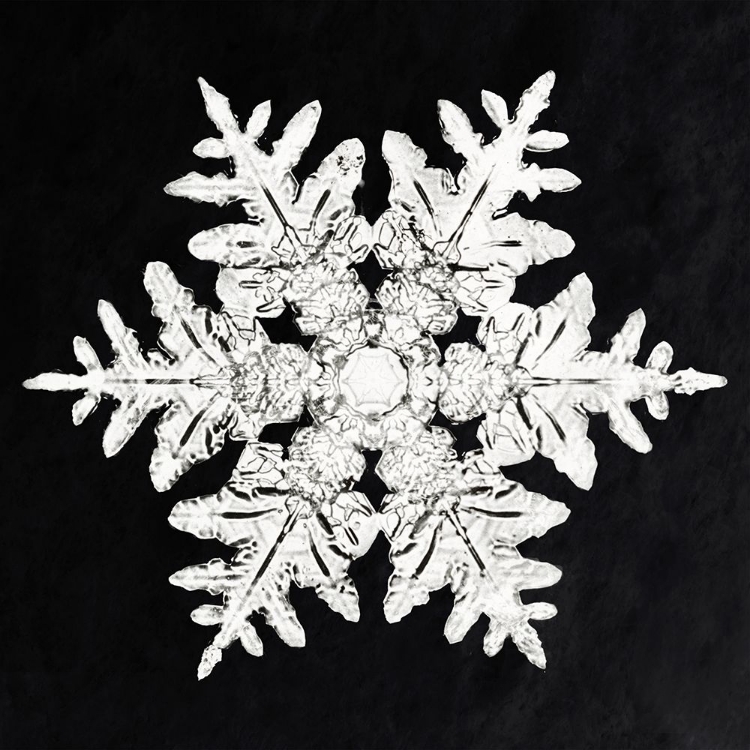 Picture of SNOWFLAKE 990