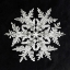 Picture of SNOWFLAKE 920