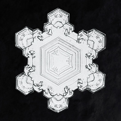 Picture of SNOWFLAKE 1205