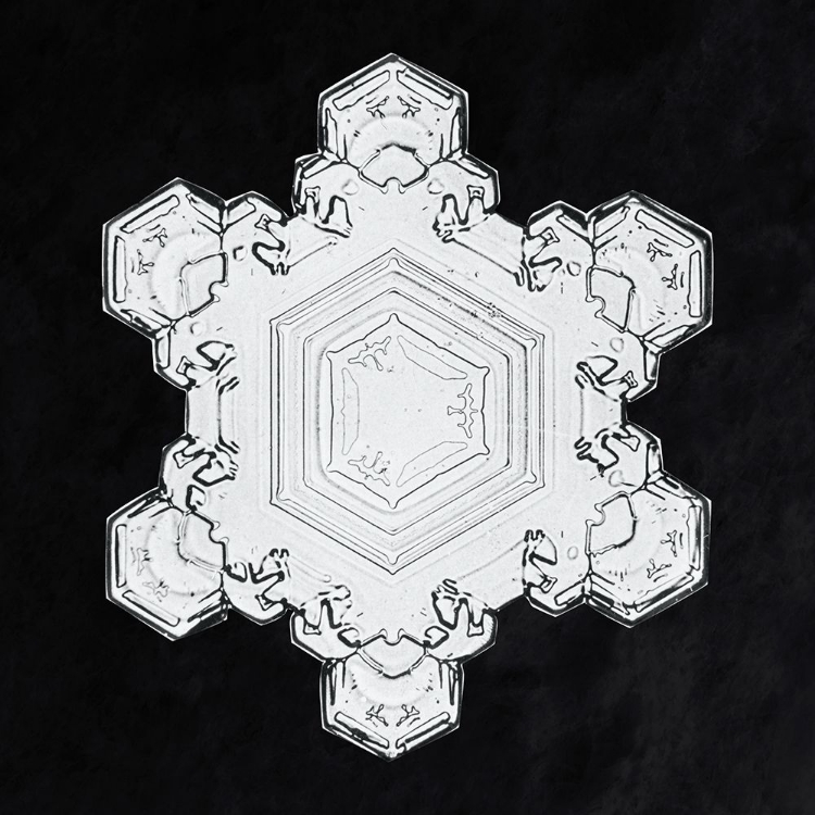 Picture of SNOWFLAKE 1205