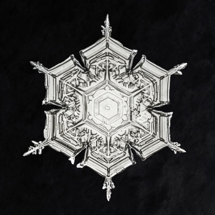 Picture of SNOWFLAKE 579A