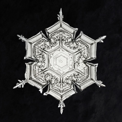 Picture of SNOWFLAKE 579A