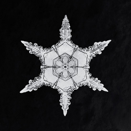 Picture of SNOWFLAKE 342