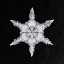 Picture of SNOWFLAKE 342
