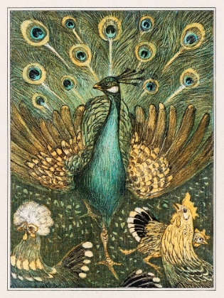 Picture of PEACOCK WITH CHICKENS