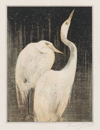 Picture of TWO EGRETS