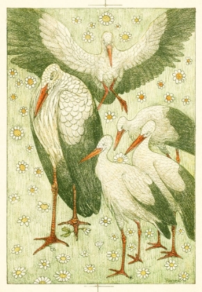 Picture of FIVE STORKS IN A MEADOW