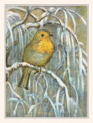 Picture of ROBIN ON SNOWY TREE BRANCH