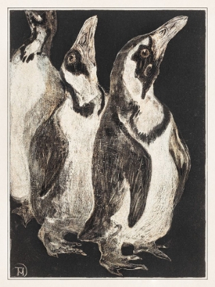Picture of THREE PENGUINS