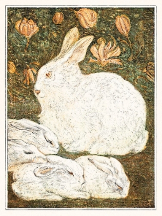 Picture of RABBITS