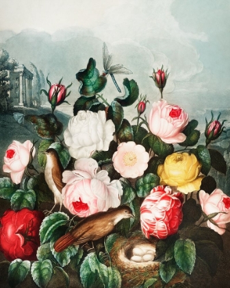 Picture of ROSES FROM THE TEMPLE OF FLORA