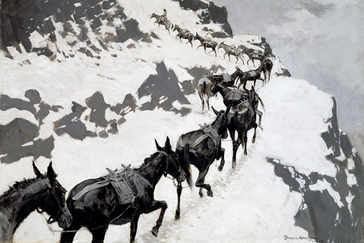 Picture of THE MULE PACK